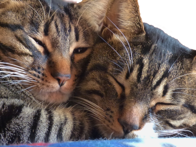 相対的のイメージ写真