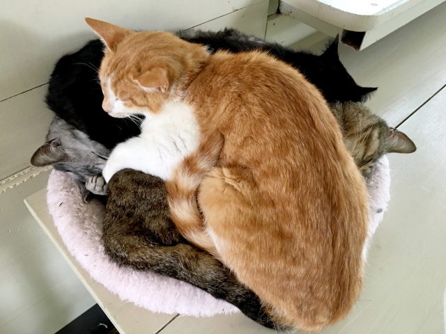 身に余るお言葉ののイメージ写真