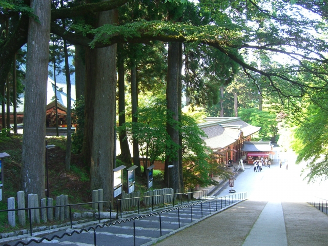 油断大敵のイメージ写真