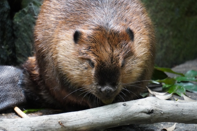 気が気でないのイメージ写真