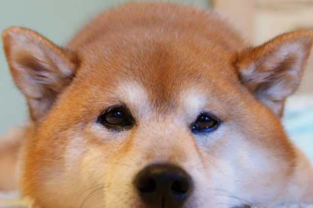 順延のイメージ写真