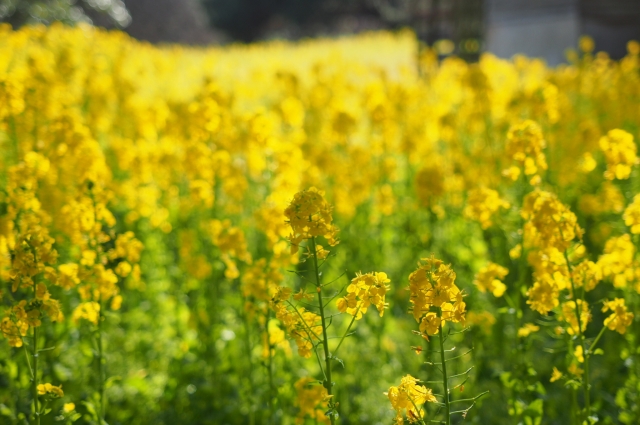 切り出すのイメージ写真