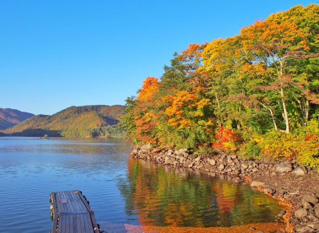 明文化のイメージ写真