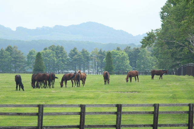 冷や飯を食うのイメージ写真