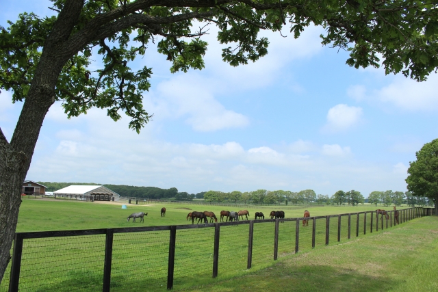 埒が明かないのイメージ写真