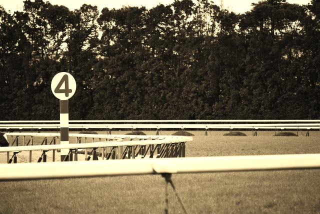 埒が明かないのイメージ写真