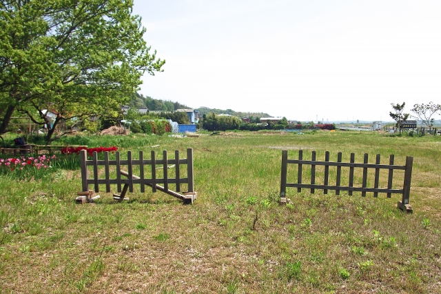 埒が明かないのイメージ写真