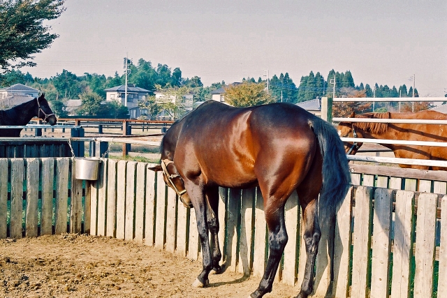 埒が明かないのイメージ写真