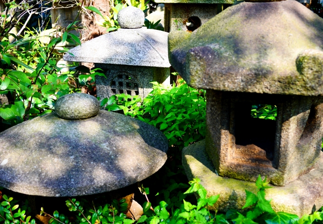 魑魅魍魎のイメージ写真