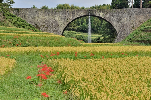 冷や飯を食うのイメージ写真