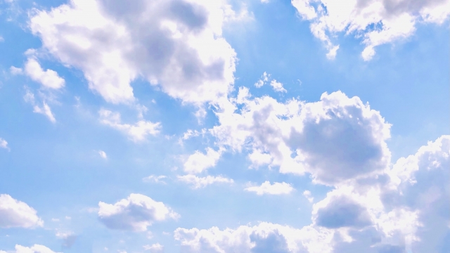 冷や飯を食うのイメージ写真