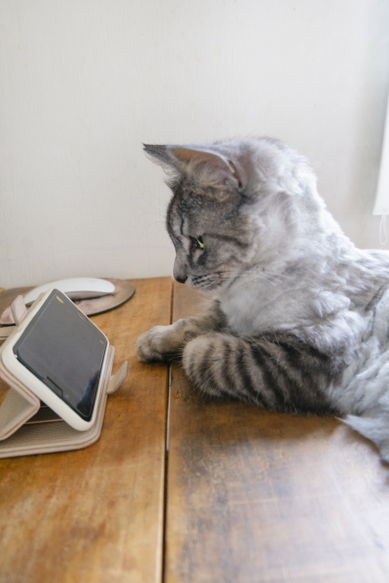 タメ口のイメージ写真