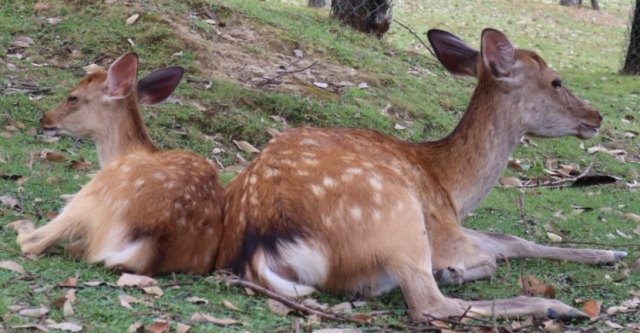 二律背反のイメージ写真