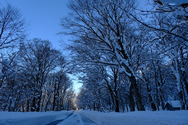 雲一つないピーカンの冬の天気