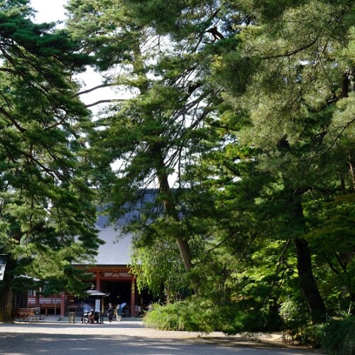 毛越寺の秋の写真
