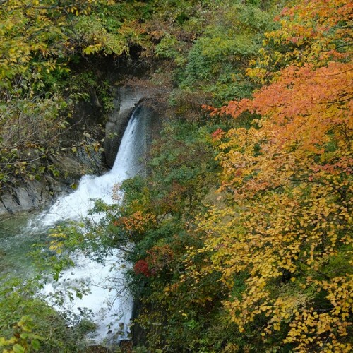 鳴子峡の紅葉の写真