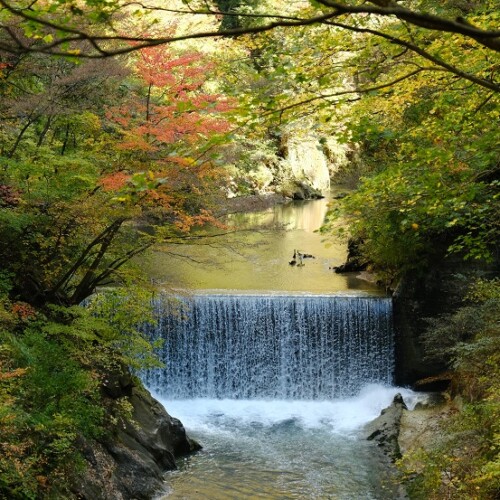鳴子峡の紅葉の写真