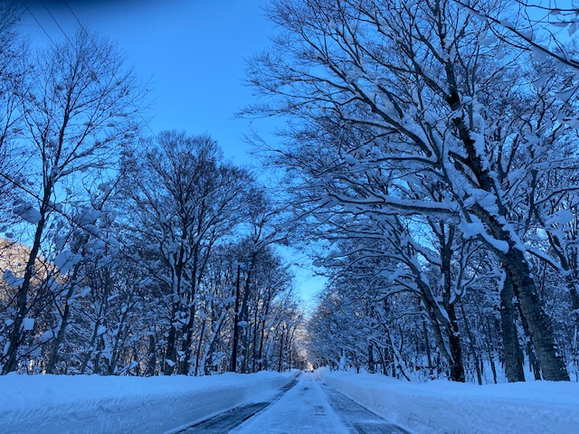 降雪量と積雪量のイメージ写真