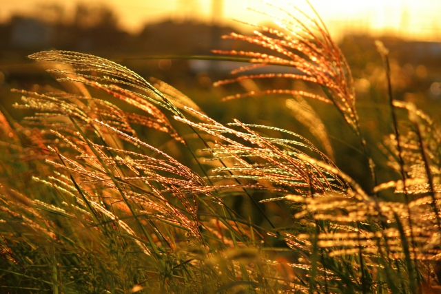 弱り目に祟り目のイメージ写真
