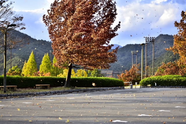 ご愁傷さまのイメージ写真