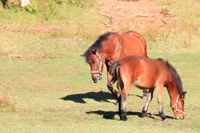 南船北馬のイメージ写真