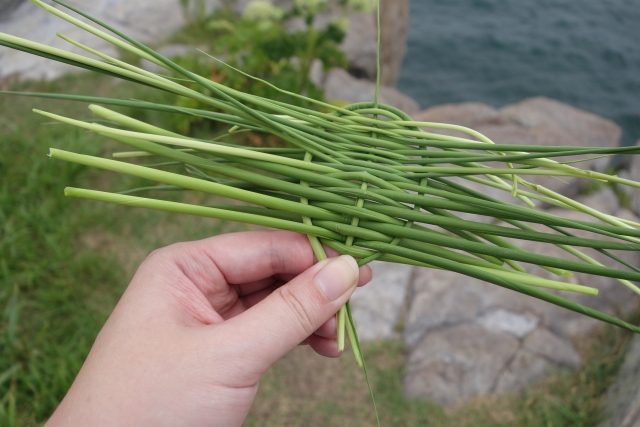 二束三文のイメージ写真