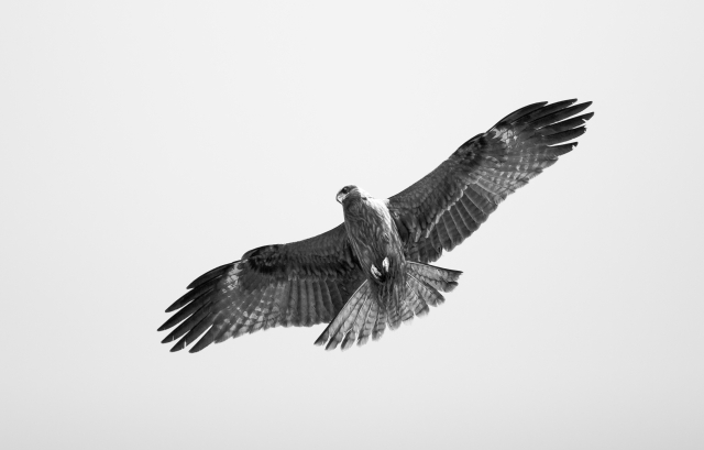 大器晩成のイメージ写真