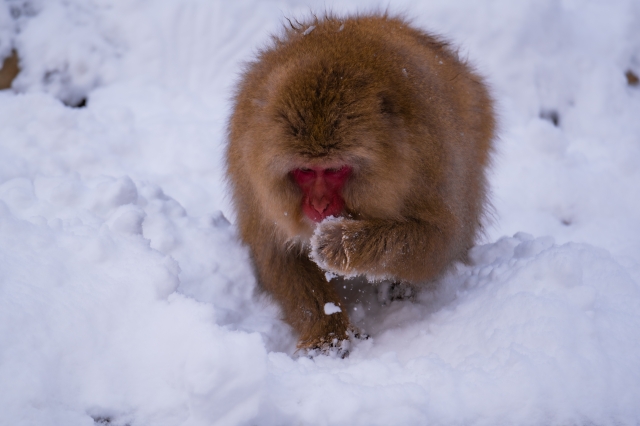 足蹴にするのイメージ写真