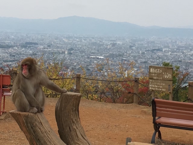 足蹴にするのイメージ写真