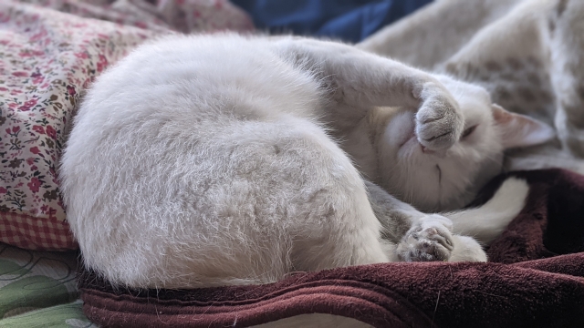 後顧の憂いのイメージ写真