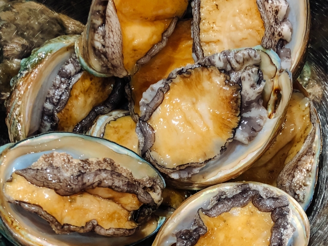 磯の鮑の片思いのイメージ写真