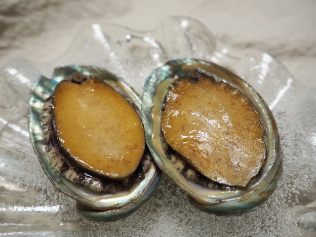 磯の鮑の片思いのイメージ写真