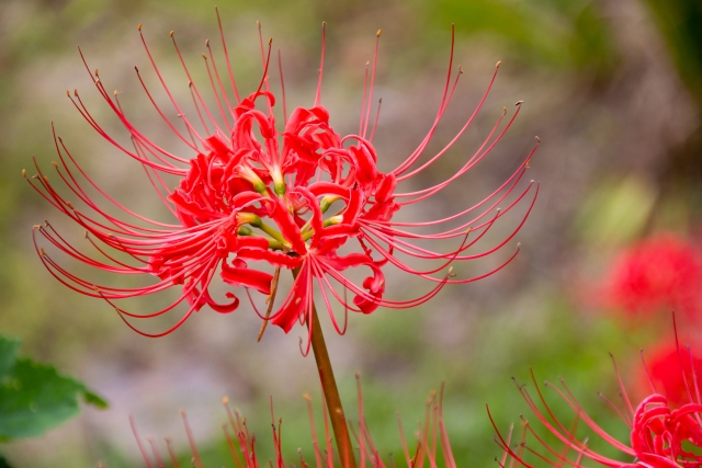 仏の顔も三度までのイメージ写真