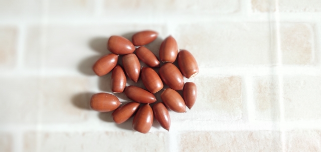 どんぐりの背比べのイメージ写真