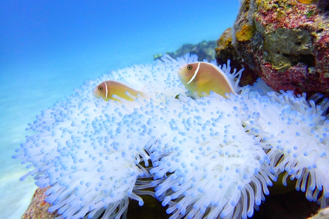 ほとぼりが冷めるのイメージ写真