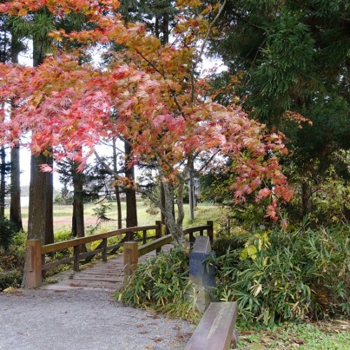 遠野の河童池の風景写真