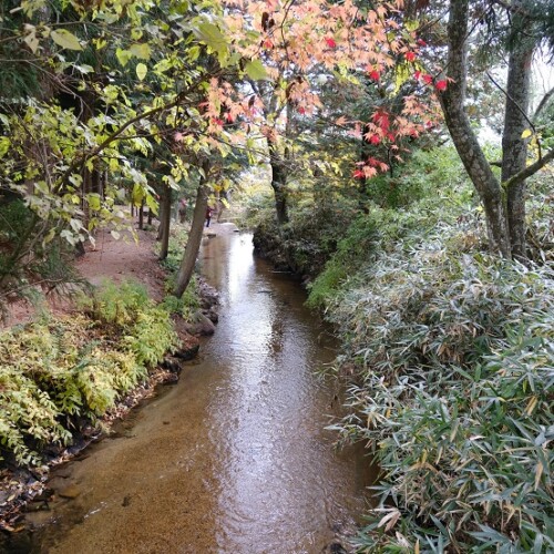 遠野の河童池の風景写真
