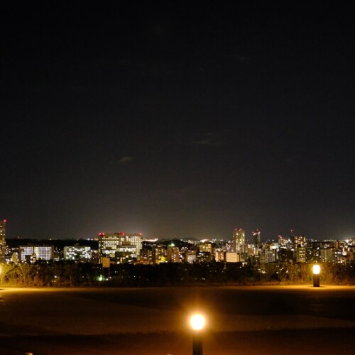 仙台城址公園の夜景の写真