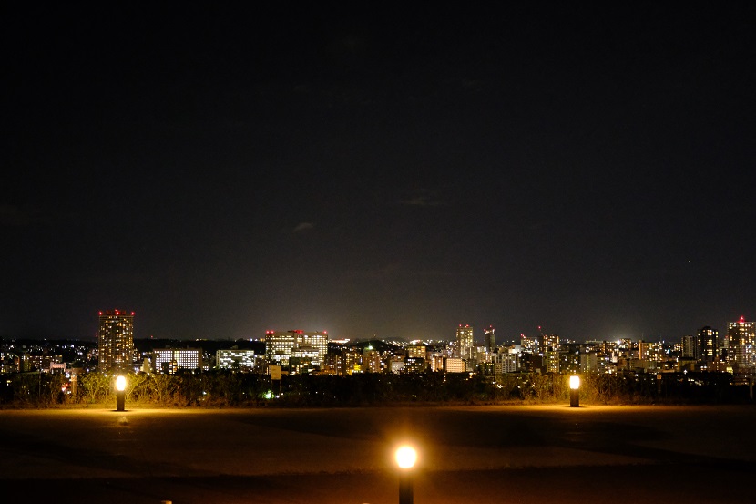 仙台城址公園の夜景の写真