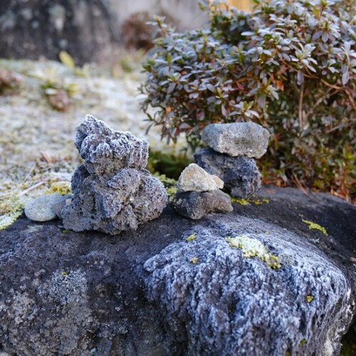 12月の庭の風景写真
