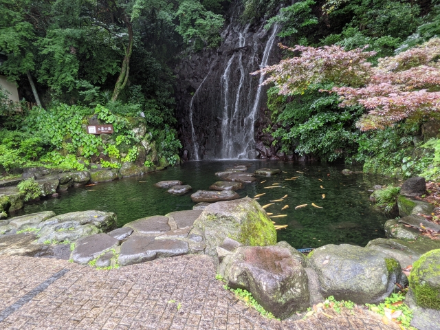 舌の根も乾かぬうちにのイメージ写真