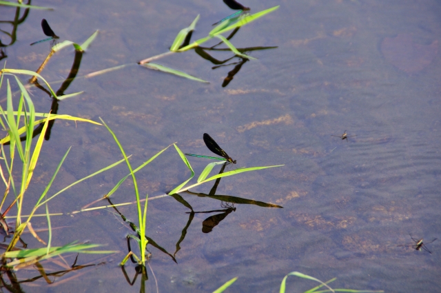 寄る辺ないのイメージ写真