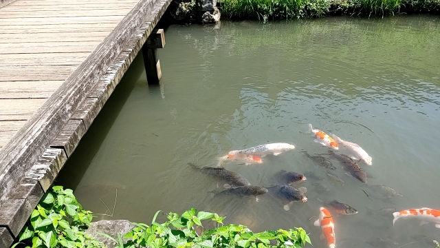 舌の根も乾かぬうちにのイメージ写真