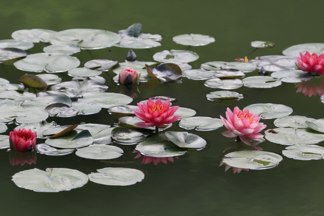 萍水相逢のイメージ写真
