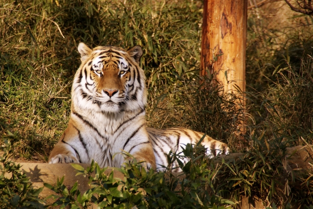 士気が下がるのイメージ写真
