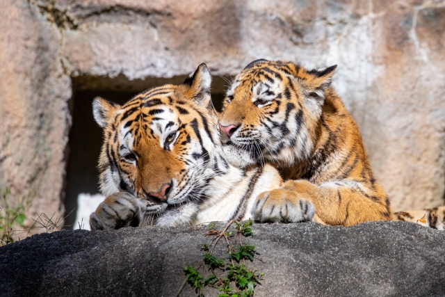 士気が下がるのイメージ写真