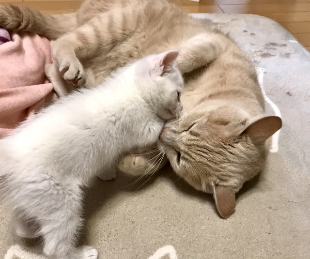 率先垂範のイメージ写真