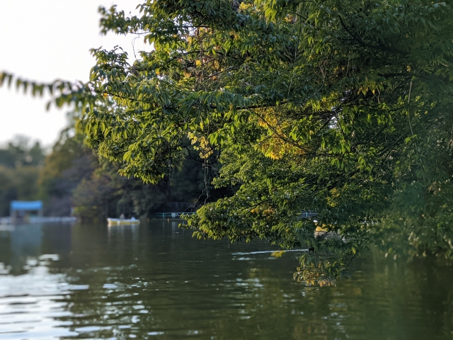 舌の根も乾かぬうちにのイメージ写真