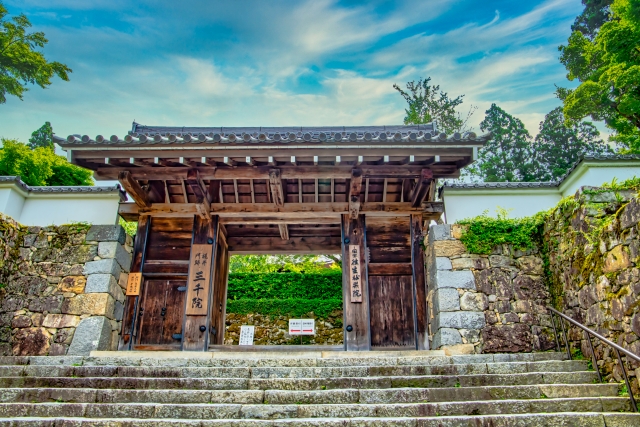 頭を丸めるのイメージ写真