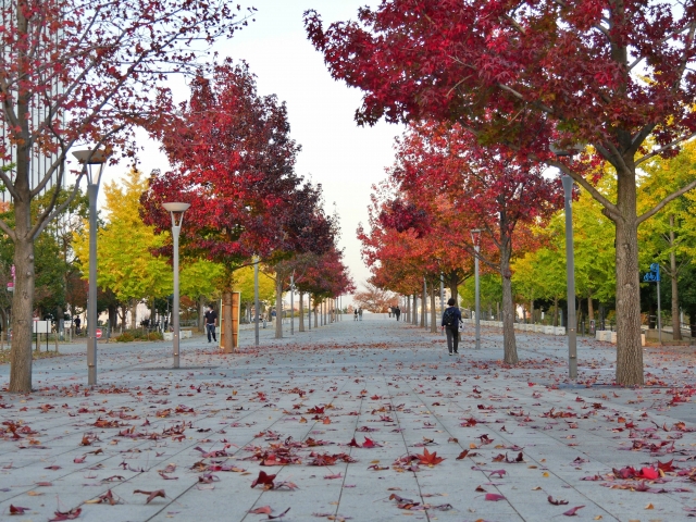 家路につくのイメージ写真